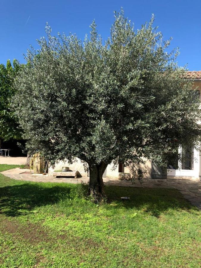 Gite Cocooning Avec Piscine Bouge-Chambalud Exterior foto